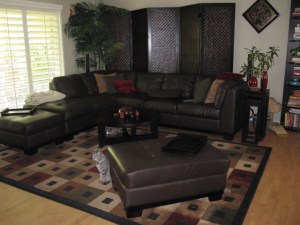 No clutter...just cats!