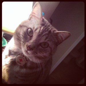 Shima the part feral shy girl