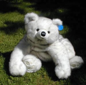 Grandma Fresca teddy bear