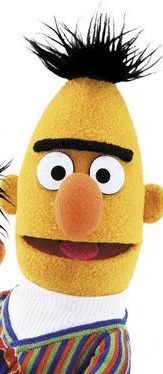 bert