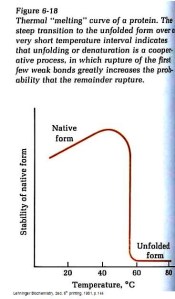 protein denaturing