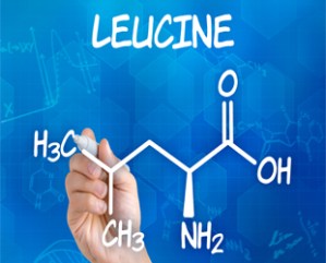 Leucine310x250