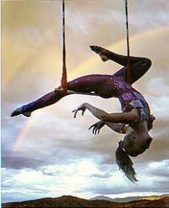 static trapeze