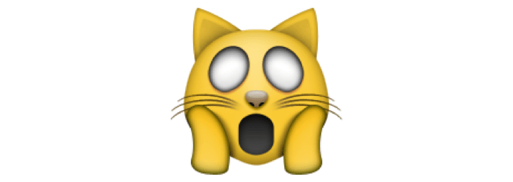 1437169925-weary-cat-2