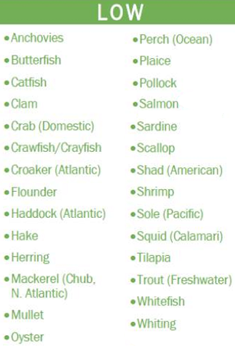 low mercury foods