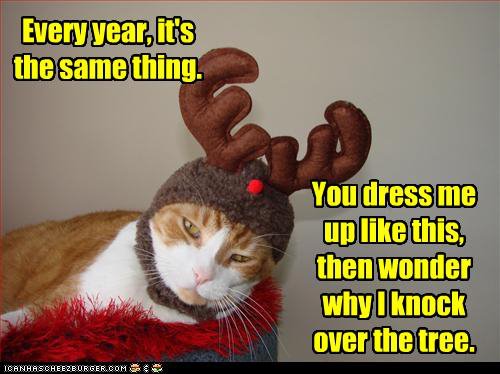 cat-reindeer-funny